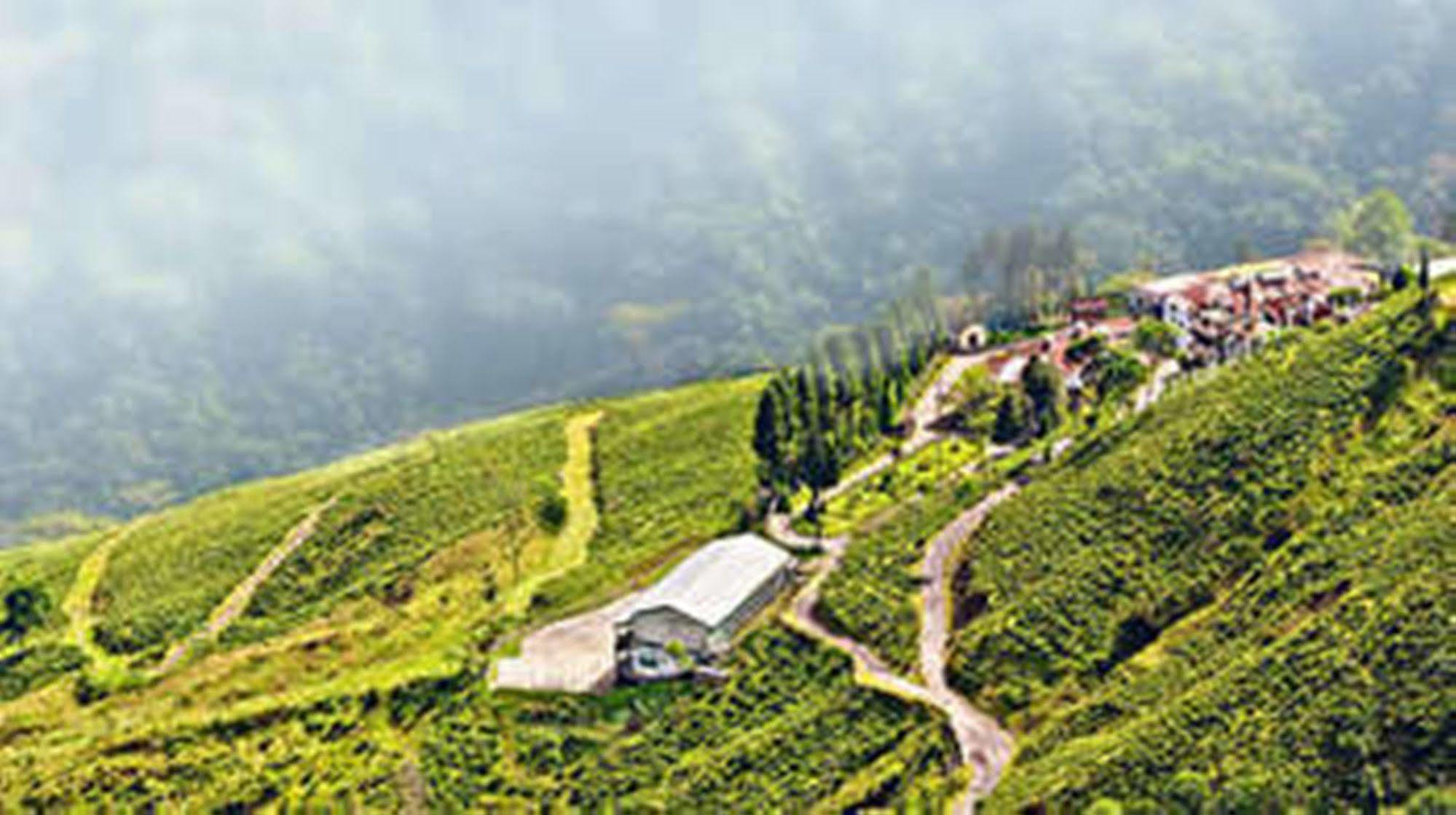 Central Nirvana Darjeeling  Exteriör bild